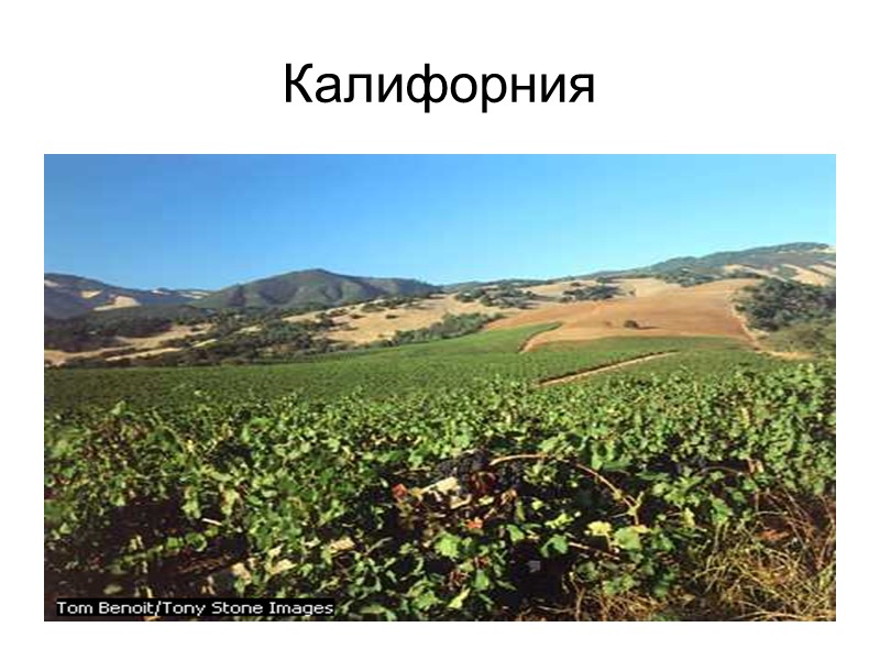 Калифорния